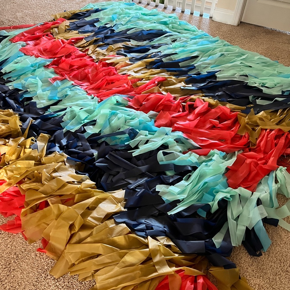 Fringe Backdrop - Picture 3 of 4